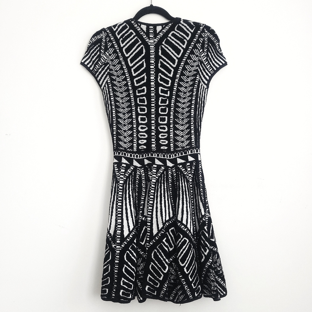 Torn By Ronny Kobo Vivienne Y2K Jacquard Knit Mini Dress - Picture 10 of 11